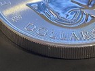 2016 Canada Bison $8 Coin – 1.25 oz .9999 Silver BU RCM Wildlife Series — photo 8