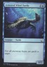 Armored Whirl Turtle - Global Series Jiang Yanggu & Mu Yanling: #7 Nm R217