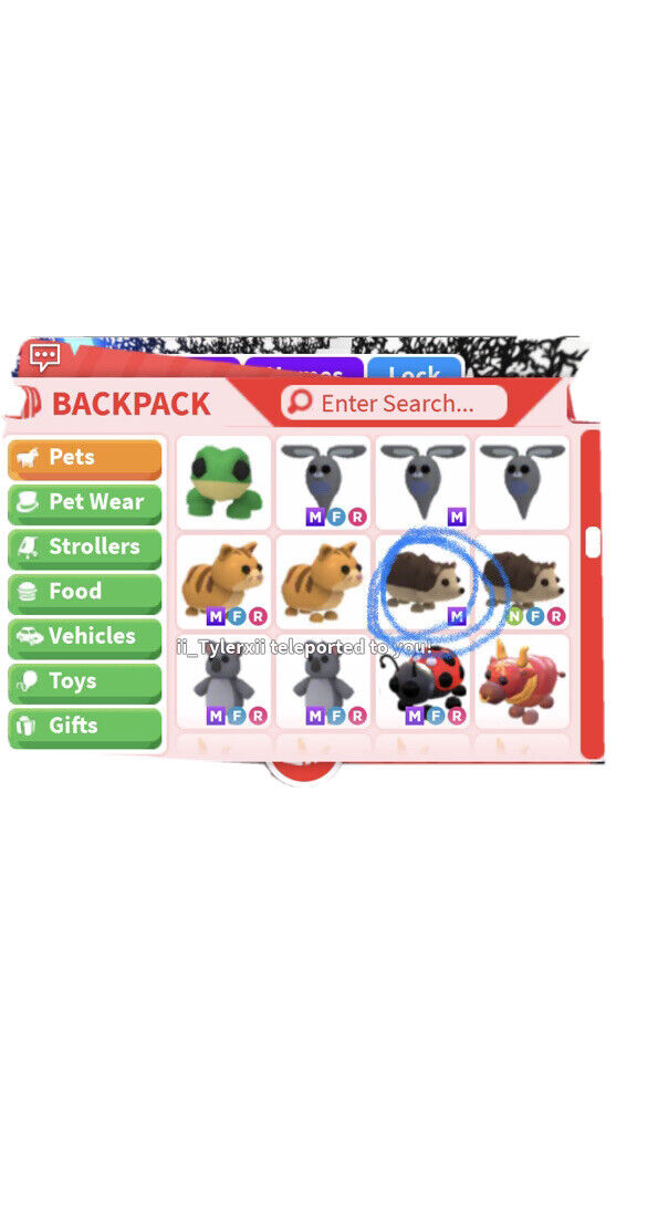 Hedgehog, Trade Roblox Adopt Me Items