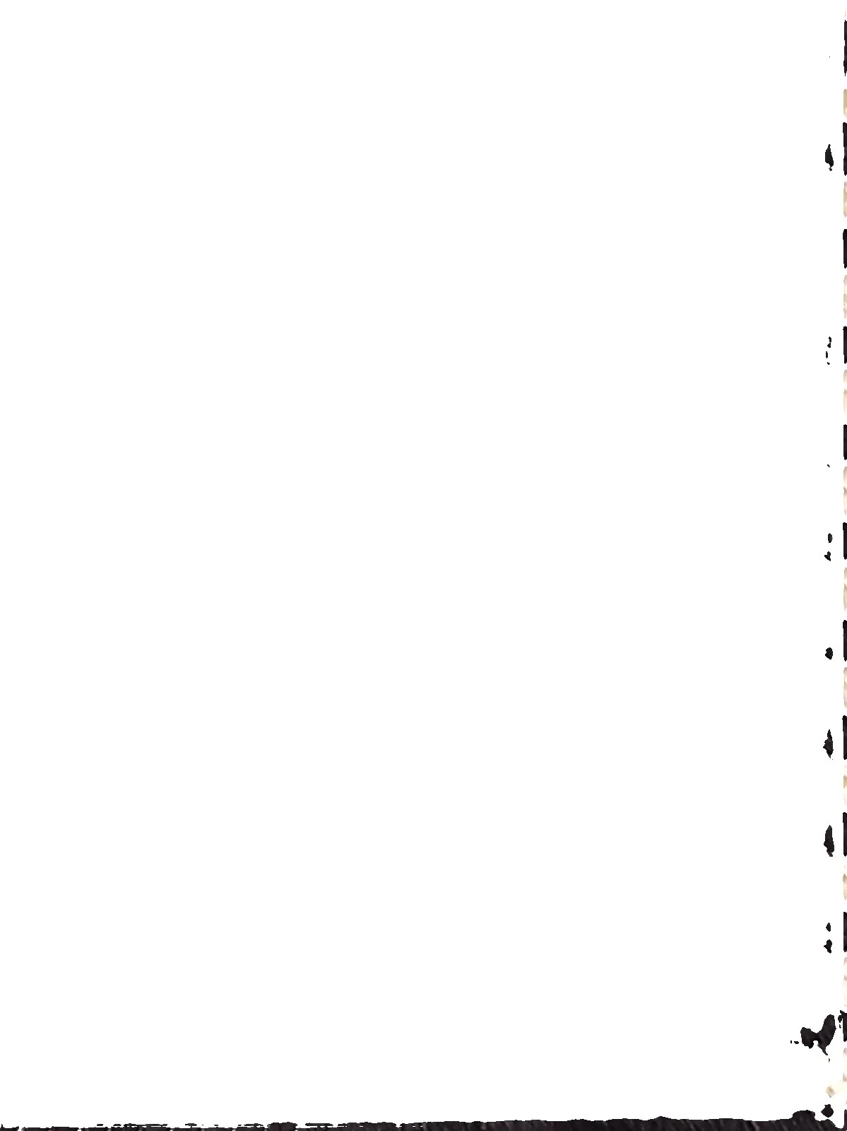 Neiman Marcus Tie Striped Ties for Men