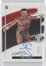 2022 Panini Impeccable WWE Superstar Holo Silver 14/25 Joe Coffey Auto 0w8