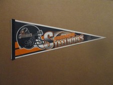 Arena 2 Birmingham Steeldogs Vintage Defunct 2004 Team Logo Football Pennant