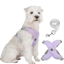 Dog Harness Pet X Frame No Pull Step-in Harnesses with Leash Set, Adjustable ...