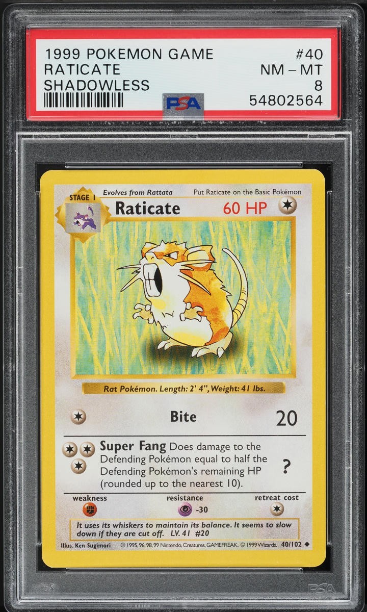 1999 Pokemon Base Set Shadowless Raticate #40 PSA 8 NM-MT