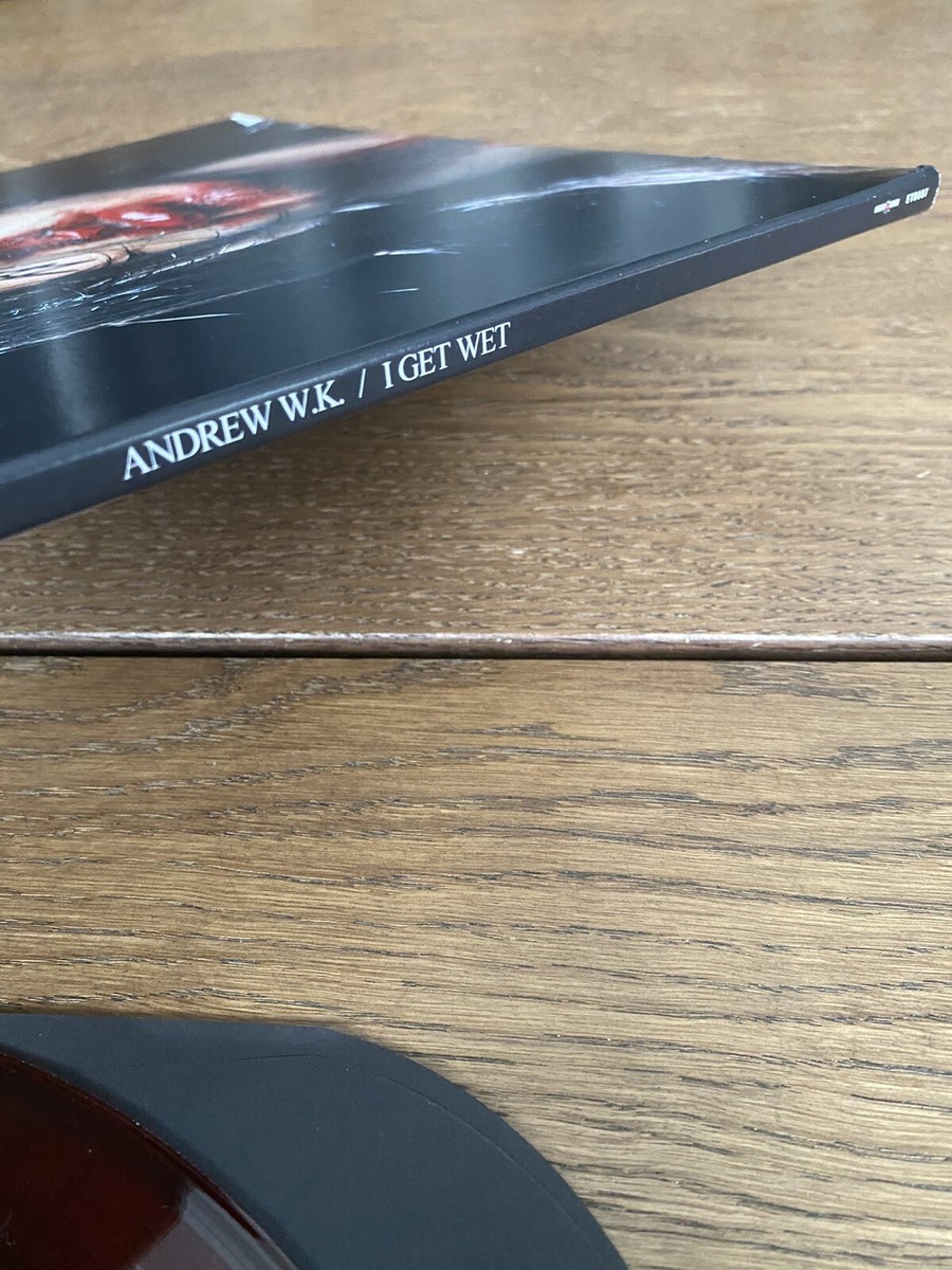 ANDREW W.K. / I GET WET LPレコード Andrew W.K.- I Get Wet (ETR087) | Enjoy The Ride Records