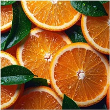 Tile Mural Oranges Citrus Fruit Kitchen Bathroom Wall Backsplash Marble Ceramic