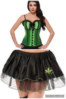 Wicked Witch Of The West Women s Sexy Corset Tutu 2 Piece Costume - Size S - NWT