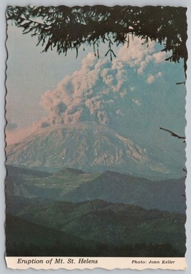 Mt St Helens Eruption Postcard 1980 John Keller Volcano Washington State UNP 4x6
