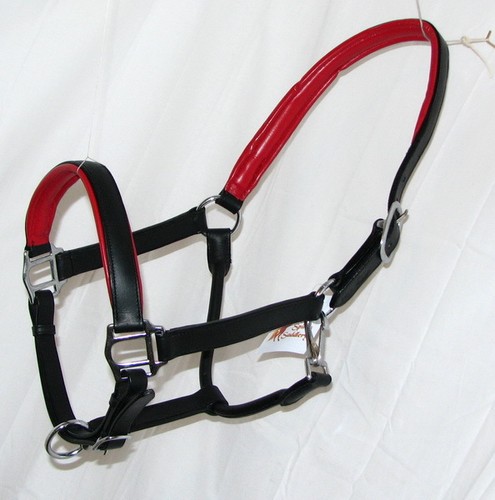 FSS Cuero POSH Confort Acolchado Classy Show Halter Headcollado TODO COLOR ACOLCHADO - Imagen 3 de 21