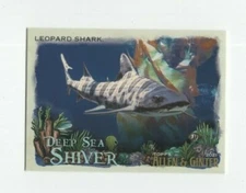 2021 TOPPS ALLEN & GINTER DEEP SEA LEOPARD SHARK #DSS-12