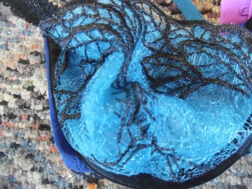 Cosmopolitan blue & black lace bra size 34B - Picture 2 of 3