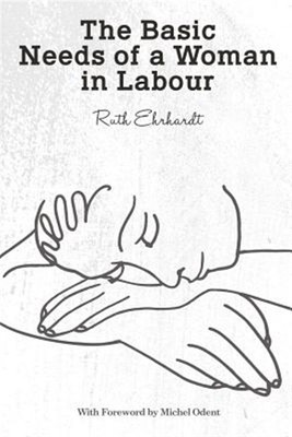 The Basic Needs of a Woman in Labour by Ehrhardt, Ruth, Brand New, Free shipp...