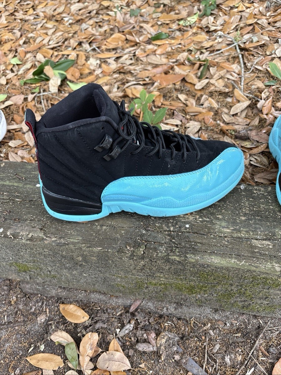 Size 7 - Air Jordan 12 Retro Gamma Blue for sale online | eBay