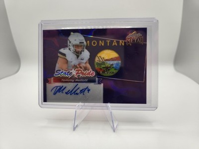 Tommy Mellott 2025 Leaf Metal State Pride Purple Lava RC Auto 1/7