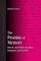 The Promise Of Memory History And Politics in Marx, Benjamin, And Derrida Buch