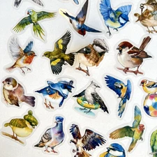 Cute Little Bird Stickers Junk Journals Collage Scrapbooking