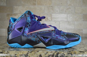 lebron 11 hornets