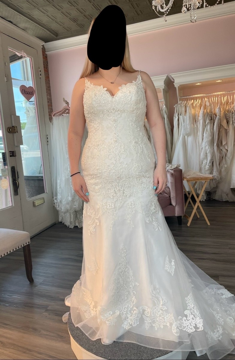 Wedding Shoppe Maggie Sottero Plus Size Wedding Dresses