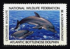 National Wildlife Federation Stamp - 1980/1981 MNH - Atlantic Bottlenose Dolphin
