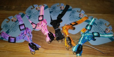 SMALL Dog Halter All Nylon No Pull by Greenbrier Kennel Club BONUS Squeak Toy!