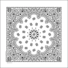 Bandana 100 Cotton Paisley Print Double-Sided Scarf Head Neck Face Mask 22"X22"