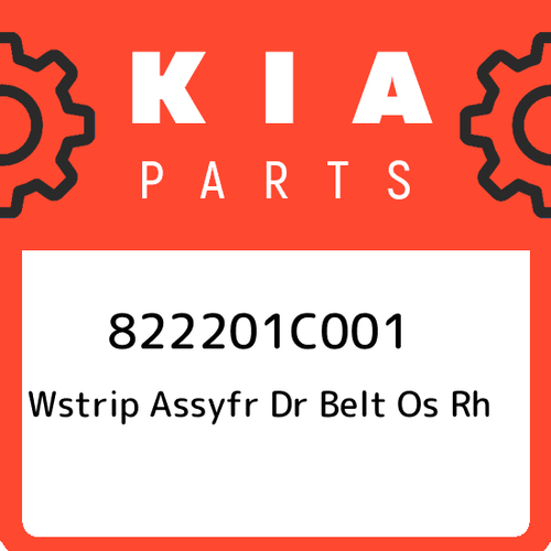 Hyundai kia 822201c001