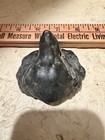 Antique Bronzed Spelter Metal Hound Dog Head Paperweight?  — photo 6
