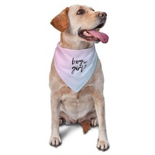 He Or She What Will It Be Gender Reveal Dog Bandana Gradient Photo Prop