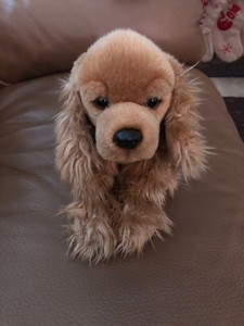 webkinz signature cocker spaniel