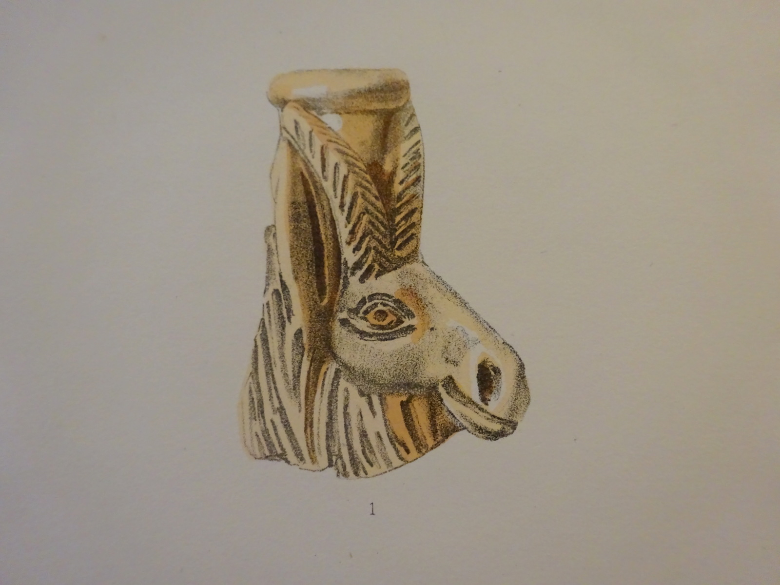Picture 5 of 11