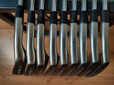 Taylormade ICW5 Iron Set 3-SW R300 | eBay