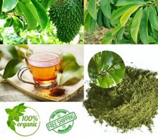 Graviola Soursop Leaves Annona Muricata Premium Guanabana Organic Natural Tea