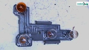 Lampenträger Heckl L AL Kombi BJ 08 1K9945257 VW Golf 1KM Bj 2008