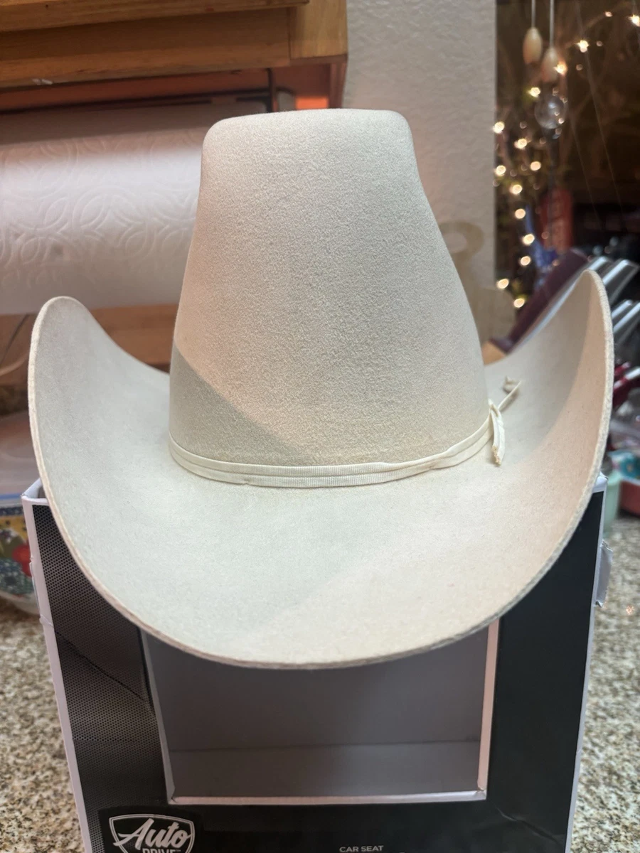 Stetson Beaver Vintage Men's 7 1/8 Size for sale | eBay
