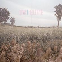 The Blue Depths von Odawas | CD | Zustand sehr gut