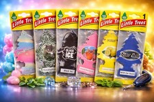 Little Trees Air Freshener 6 Pack Assorted Scents | Black Ice New Car Lemon