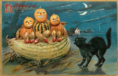 Raphael Tuck 1909 Halloween Anthropomorphic Postcard Black Cat Scared Pumpkins 