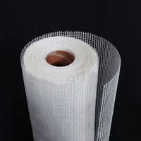 1Mx6M Fibreglass Mesh 160g/m2 For Drywall Plaster Rendering Crack Repair US 5