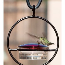 Hanging Glass Hummingbird Feeder