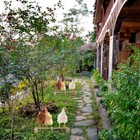 Bild 6 von 12