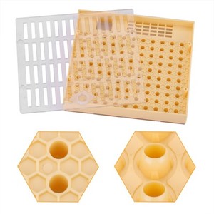 Bee-Queen-Rearing-Cell-Cupkit-Box-Case-For-Cupularve-System-Beekeeping-Tool-Kit