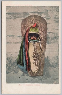 Indianer Indianer ein embryonaler Krieger Postkarte