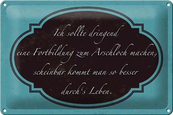 Blechschild Spruch 30X20 Cm Ich Fortbildung Zum Arschloch Deko Schild Tin Sign-image