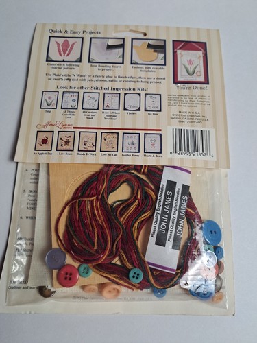 Almalynn Designs An Apple A Day Cross Stitch Pattern New Farmhouse Decor Country - Picture 2 of 5