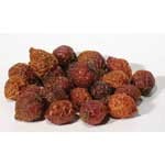 Rose Hips whole 1oz Rosa canina 