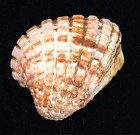 Picture 3 of 8