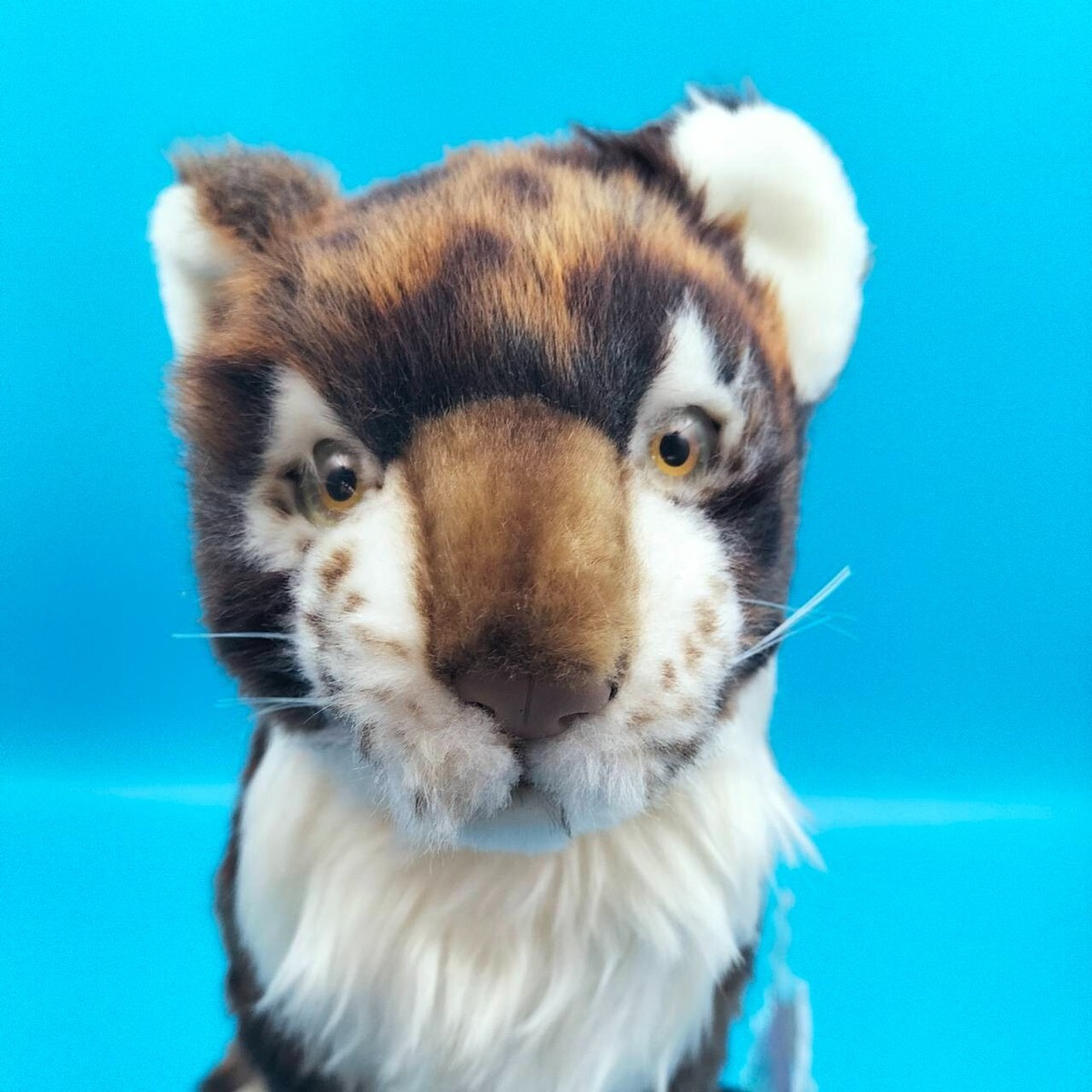 Hansa シマウマ Portraits of Nature art 26009 Hansa シマウマ Portraits of Nature art 26009 Amazon.com: SIGNWIN