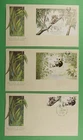 DR WHO 1995 AUSTRALIA 3 FDC JOINT ISSUE CHINA PRC PANDA KOALA COMBO S/S R67295