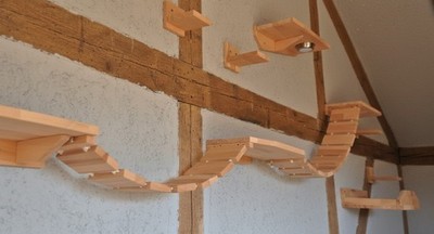 Katzenspielplatz 8teilig Wandpark Hängebrücke Bett Catwalk Buche - KWBL
