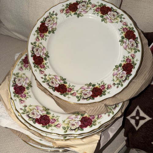 Vintage Victorian Rose Dinner Plates 7